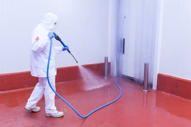Professional  Pressure Washing Services in St Helen, MI