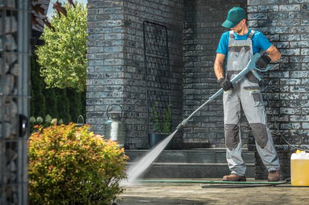 Best Rust Removal  in St Helen, MI