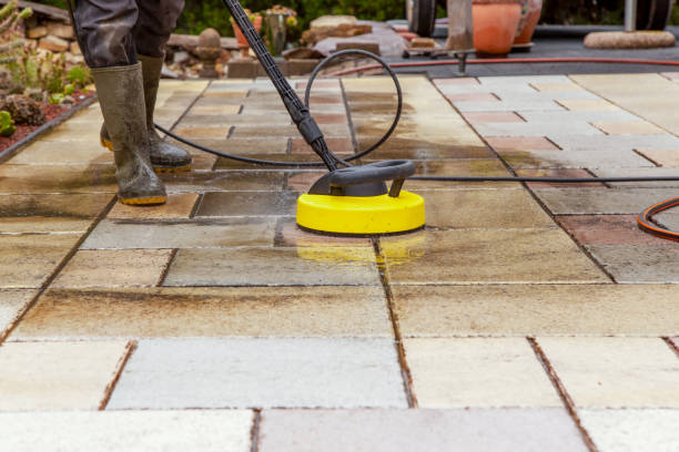 Best Roof Washing  in St Helen, MI