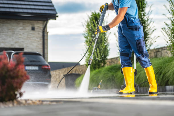 Best Dumpster Area Cleaning  in St Helen, MI